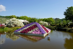 水上花壇