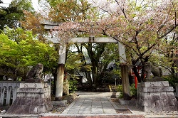 南側鳥居