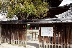 法観寺（八坂の塔）入口