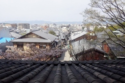 2層目から見える景色