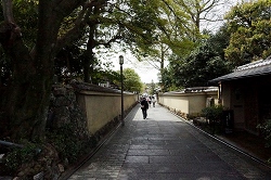 ねねの道