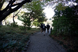 庭園への道