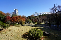 庭園内