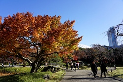 庭園内
