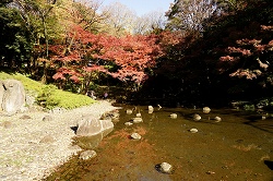 大堰川