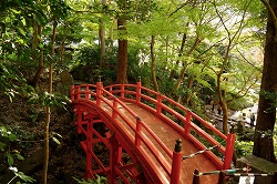 通天橋
