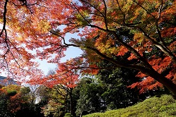 沢渡り付近の紅葉