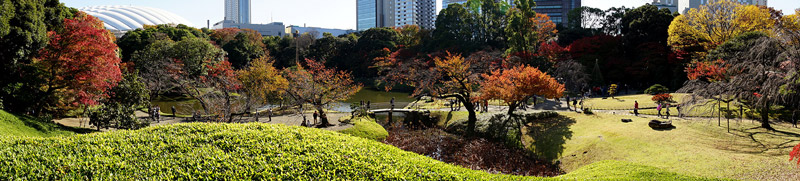 小廬山からの庭内パノラマ