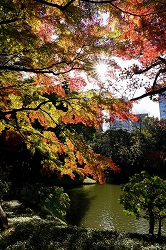 舟着付近の紅葉