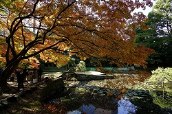 内庭の紅葉