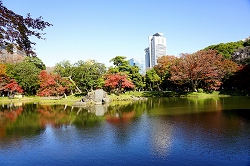 大泉水（庭園の池）