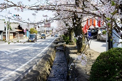 雄川堰
