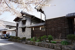 蔵と桜
