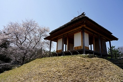 梅の茶屋