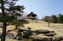 梅の茶屋