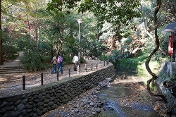 渓谷と歩道