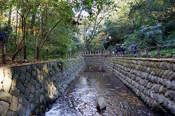 渓谷と歩道