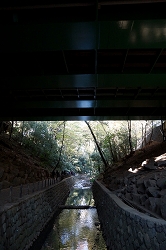 環八の玉沢橋下
