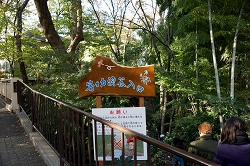 ゴルフ橋からの渓谷入口