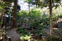 日本庭園