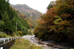 野栗沢　胡桃平地区の紅葉