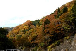 野栗沢　奥名郷地区の紅葉