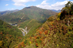 上野スカイブリッジから見た紅葉